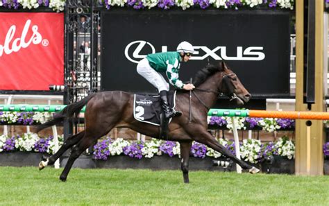 vrc oaks betting odds|VRC Oaks Betting Guide 2024 .